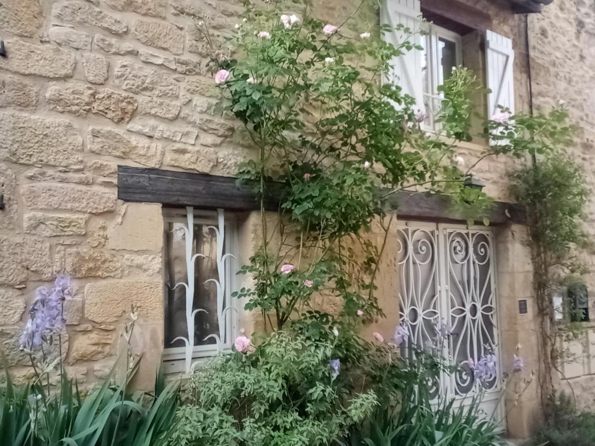 TERRE d'HISTOIRE - Baignade, canoë, piste cyclable à proximité Castelnaud La Chapelle Exterior foto